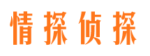 新源市私家侦探